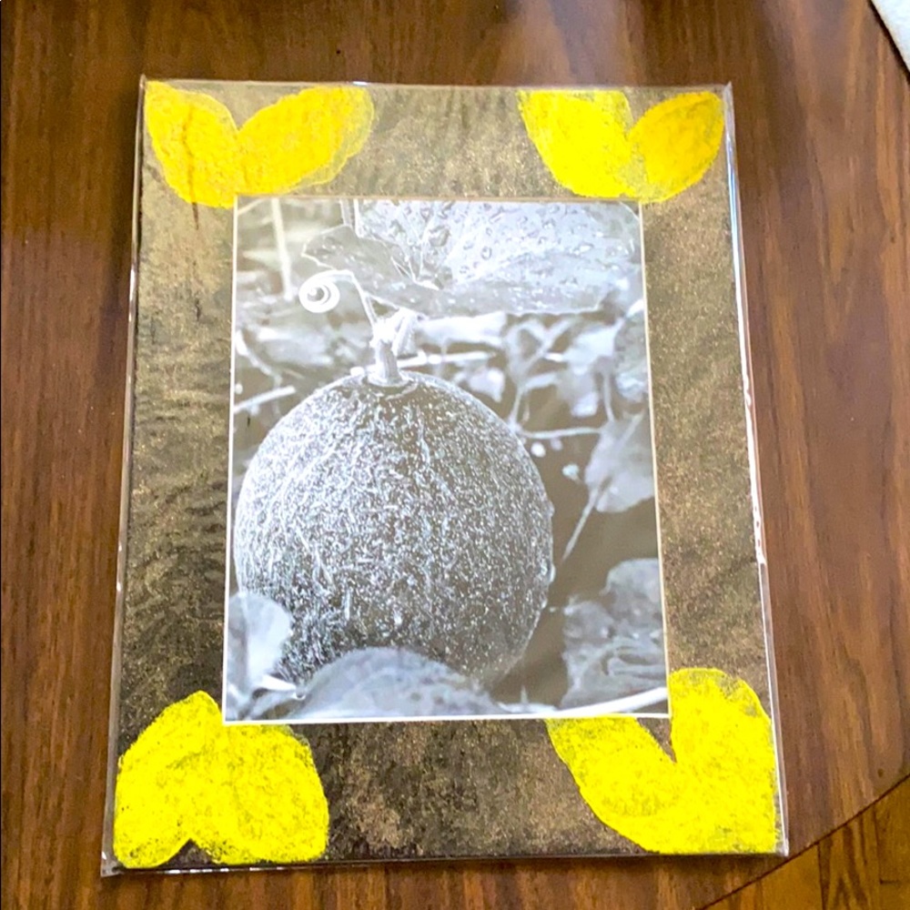 Cantaloupe photography, wall art